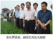 中国·金沙9570(集团)有限公司官网