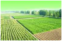 中国·金沙9570(集团)有限公司官网