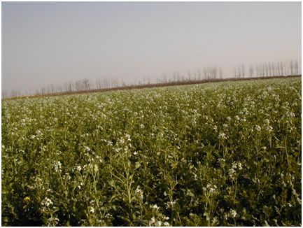 中国·金沙9570(集团)有限公司官网