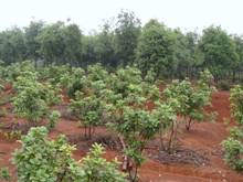 中国·金沙9570(集团)有限公司官网