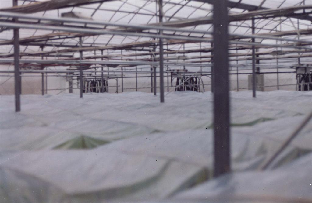 中国·金沙9570(集团)有限公司官网