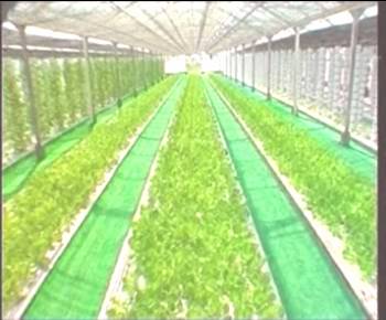 中国·金沙9570(集团)有限公司官网