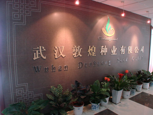 中国·金沙9570(集团)有限公司官网