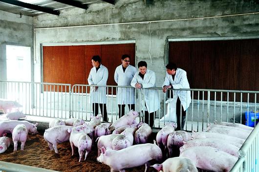 中国·金沙9570(集团)有限公司官网