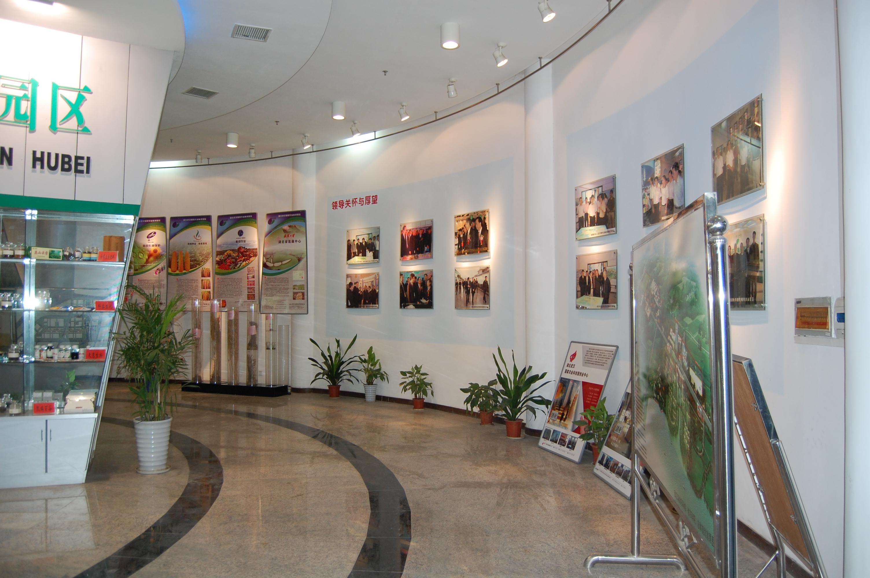 中国·金沙9570(集团)有限公司官网