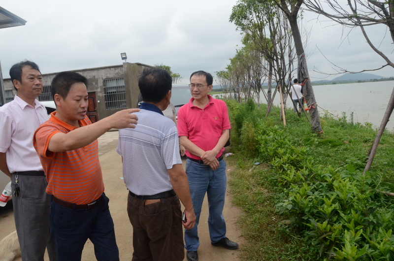 中国·金沙9570(集团)有限公司官网