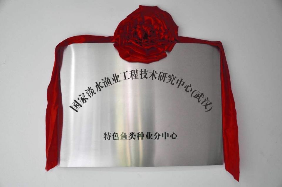 中国·金沙9570(集团)有限公司官网