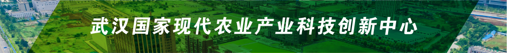 中国·金沙9570(集团)有限公司官网